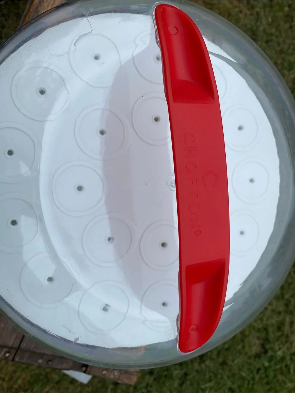 Crofton 3-in-1 Cupcake/Cake Carrier Divided Plate with Carrier Lid